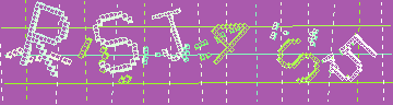 CAPTCHA 認証コード