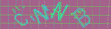 CAPTCHA 認証コード
