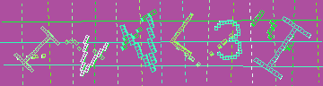 CAPTCHA 認証コード