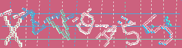 CAPTCHA 認証コード