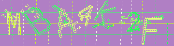 CAPTCHA 認証コード