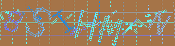 CAPTCHA 認証コード