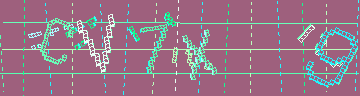 CAPTCHA 認証コード