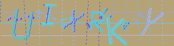 CAPTCHA 認証コード