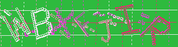 CAPTCHA 認証コード