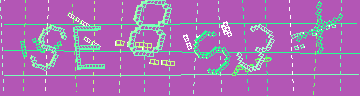 CAPTCHA 認証コード