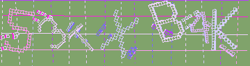 CAPTCHA 認証コード