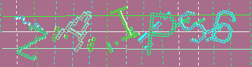 CAPTCHA 認証コード