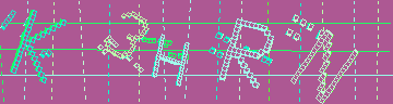 CAPTCHA 認証コード