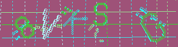 CAPTCHA 認証コード