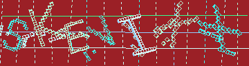 CAPTCHA 認証コード