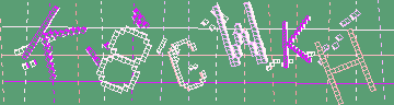 CAPTCHA 認証コード
