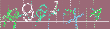 CAPTCHA 認証コード