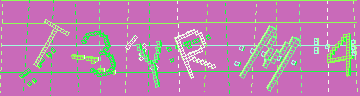 CAPTCHA 認証コード