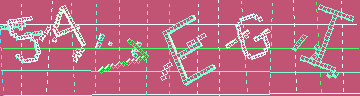 CAPTCHA 認証コード