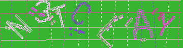 CAPTCHA 認証コード