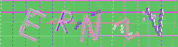 CAPTCHA 認証コード