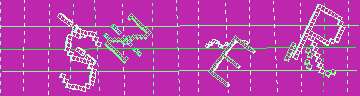 CAPTCHA 認証コード