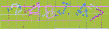CAPTCHA 認証コード