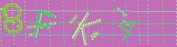 CAPTCHA 認証コード