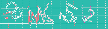 CAPTCHA 認証コード