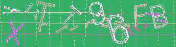 CAPTCHA 認証コード