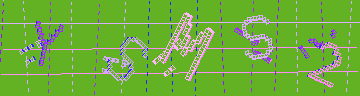 CAPTCHA 認証コード