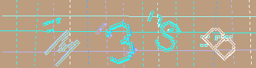 CAPTCHA 認証コード