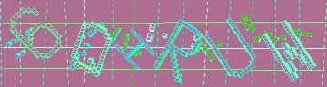 CAPTCHA 認証コード
