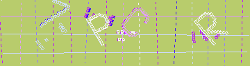 CAPTCHA 認証コード