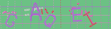 CAPTCHA 認証コード