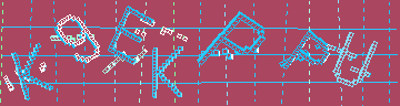 CAPTCHA 認証コード