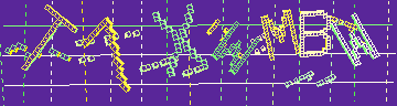 CAPTCHA 認証コード