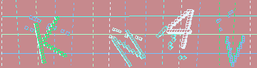 CAPTCHA 認証コード