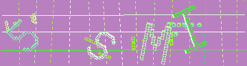 CAPTCHA 認証コード