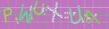 CAPTCHA 認証コード