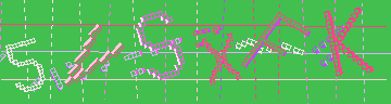 CAPTCHA 認証コード