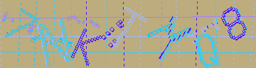 CAPTCHA 認証コード