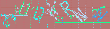 CAPTCHA 認証コード