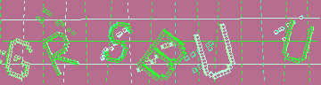 CAPTCHA 認証コード