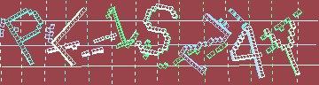 CAPTCHA 認証コード