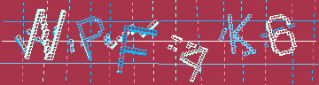 CAPTCHA 認証コード