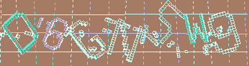 CAPTCHA 認証コード