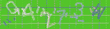 CAPTCHA 認証コード