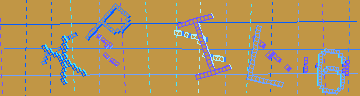 CAPTCHA 認証コード