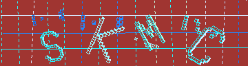 CAPTCHA 認証コード