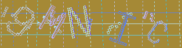 CAPTCHA 認証コード