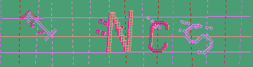 CAPTCHA 認証コード