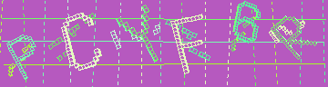 CAPTCHA 認証コード