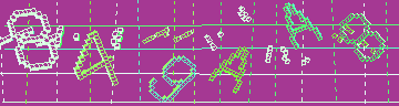 CAPTCHA 認証コード